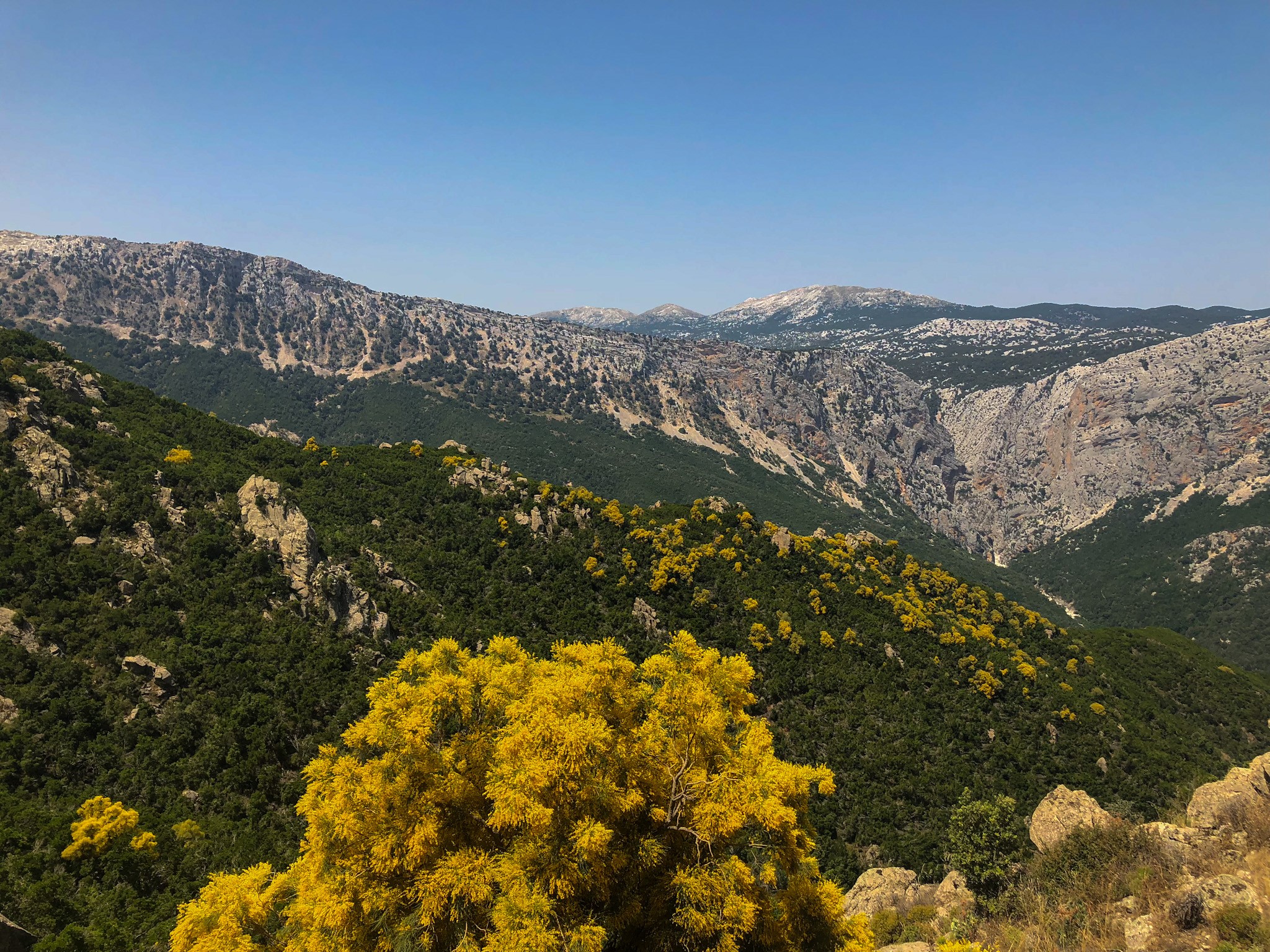 Canyon Gorropu Åbner Sig Igennem Bjergene