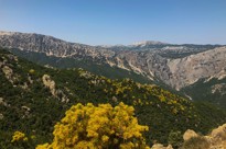 Canyon Gorropu Åbner Sig Igennem Bjergene