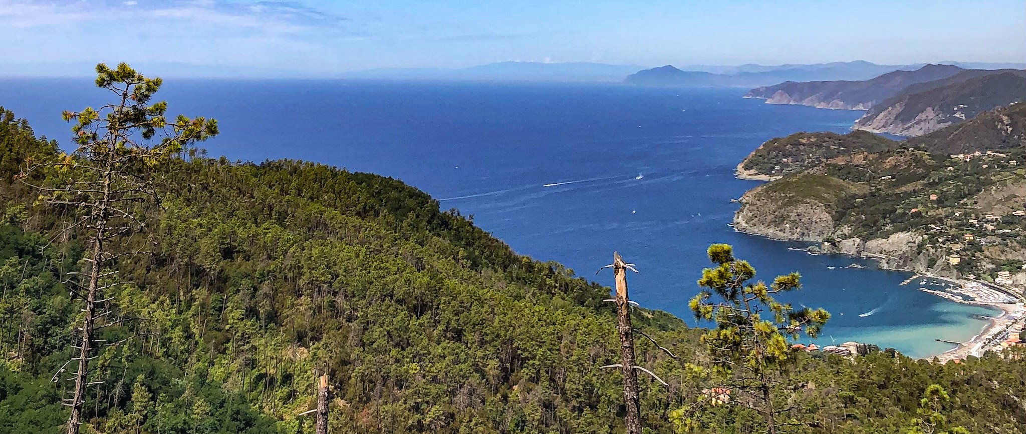 Kysten I Retning Af Portofino