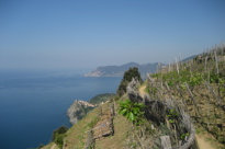 IMG 6981
