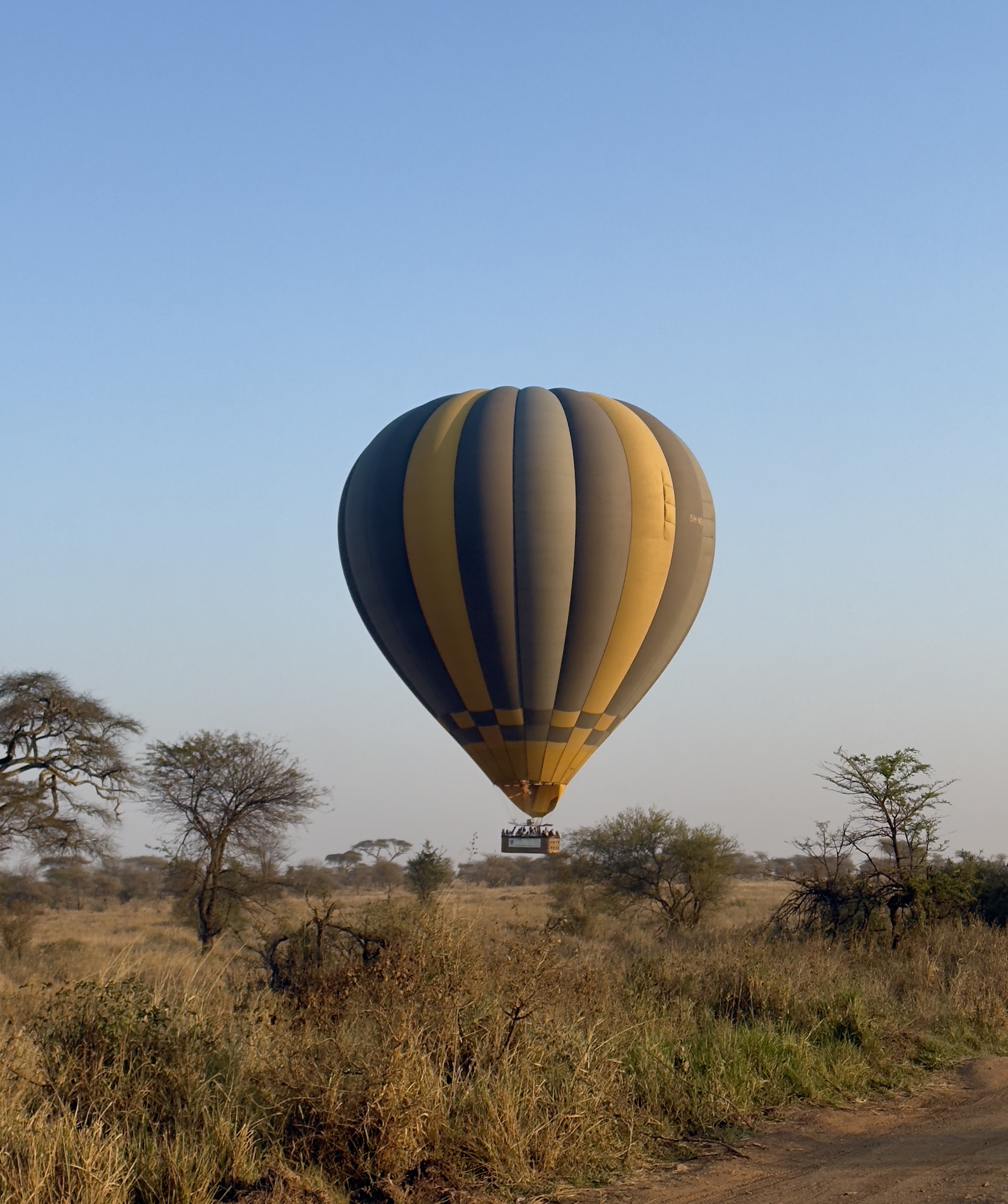 Hot Air Balloon In Serengeti