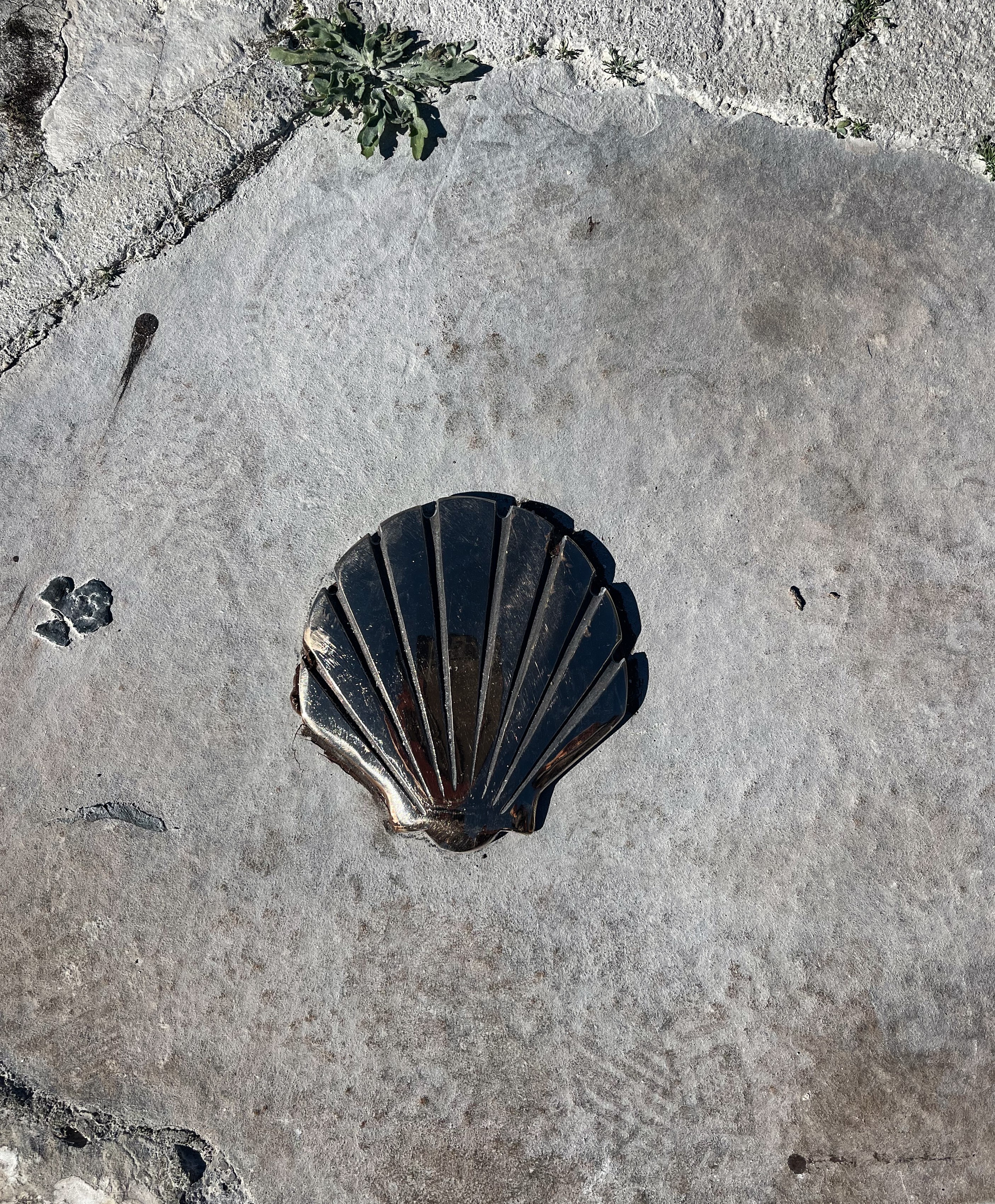 Camino