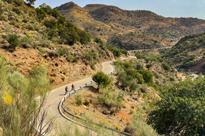 Arroyo Coche