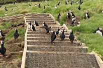 Image00001