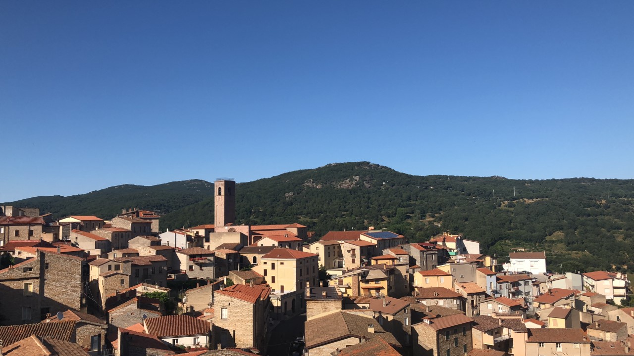 Gavoi