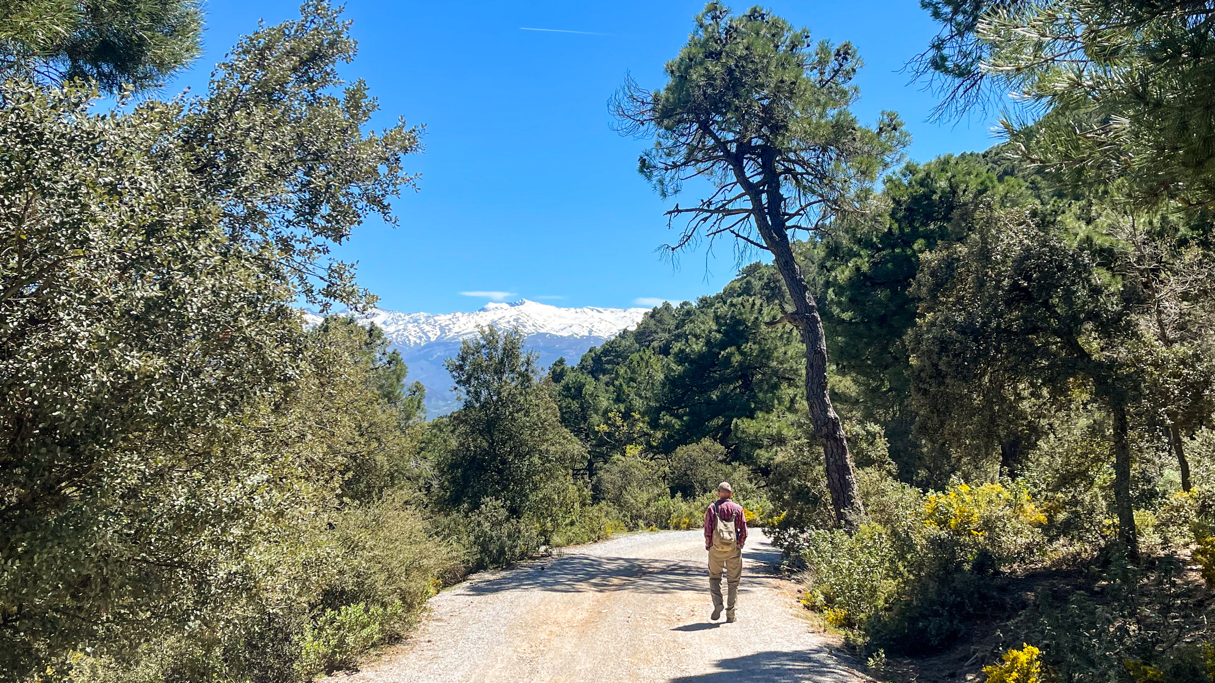 Igennem Sierra De Huétor