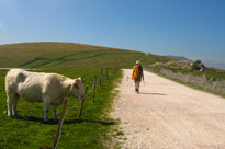 Image00014