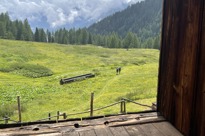IMG 1859 (1)