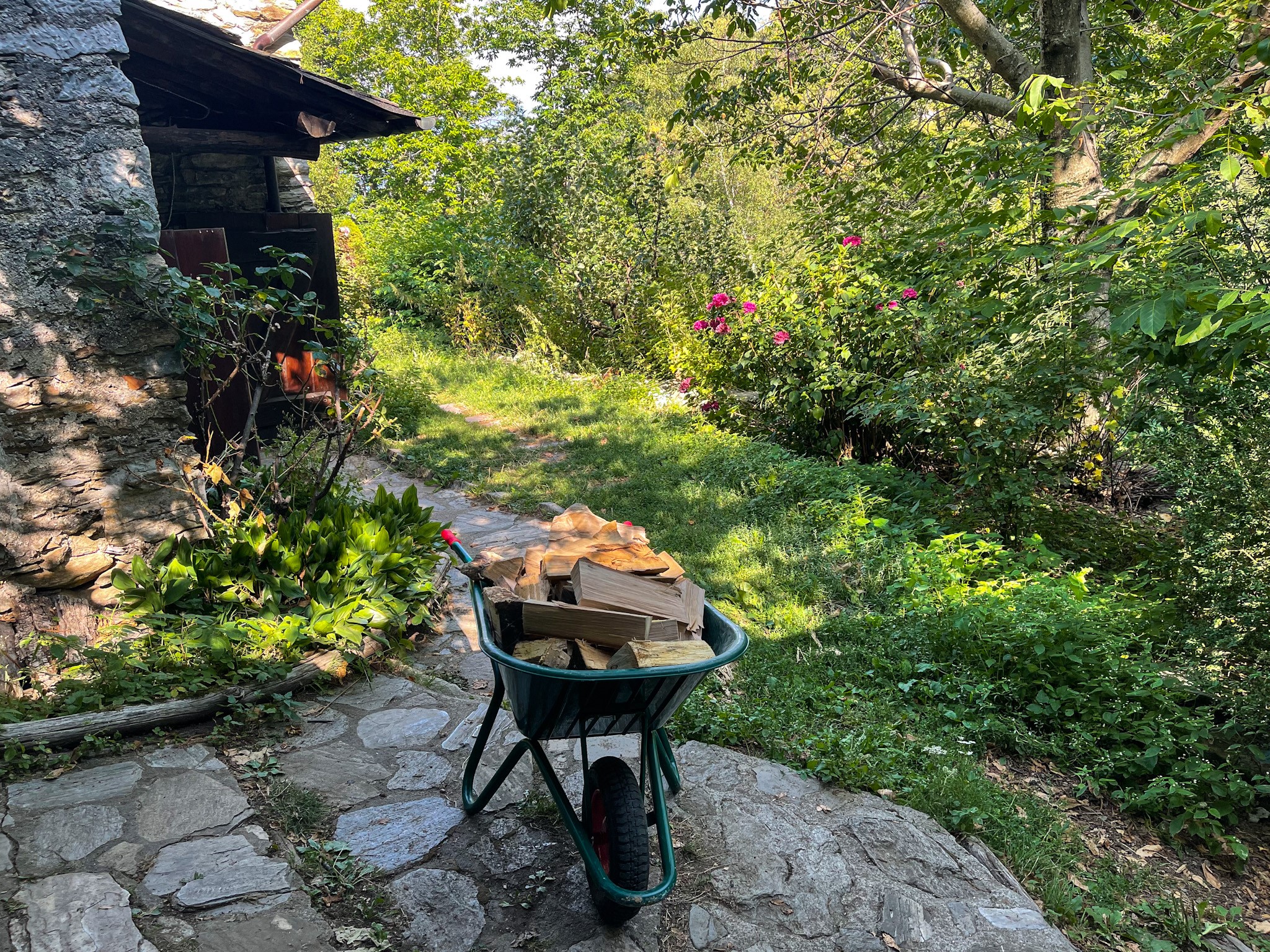 Skønne Sommer Dage I Bjergene