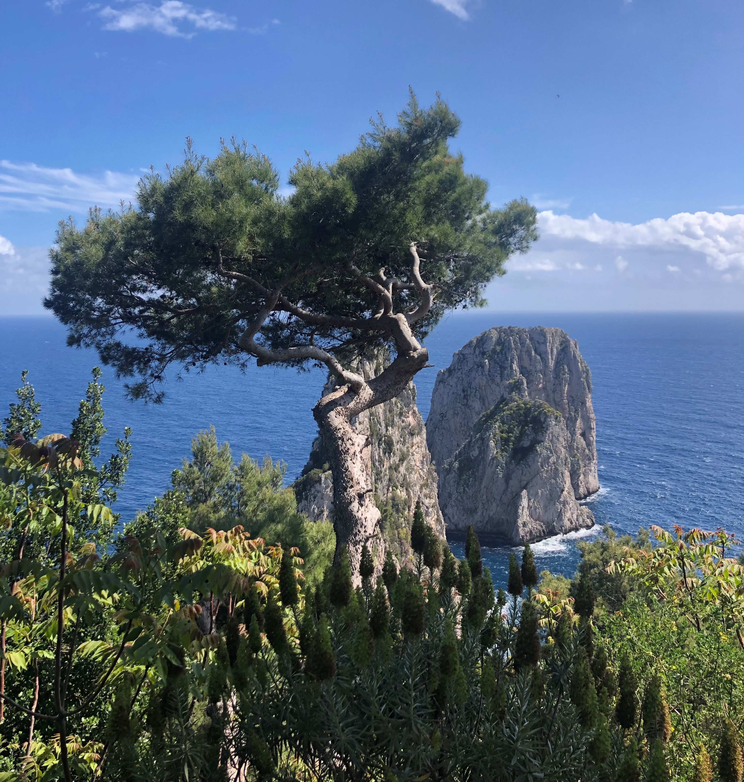 Capri View