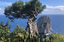 Capri View