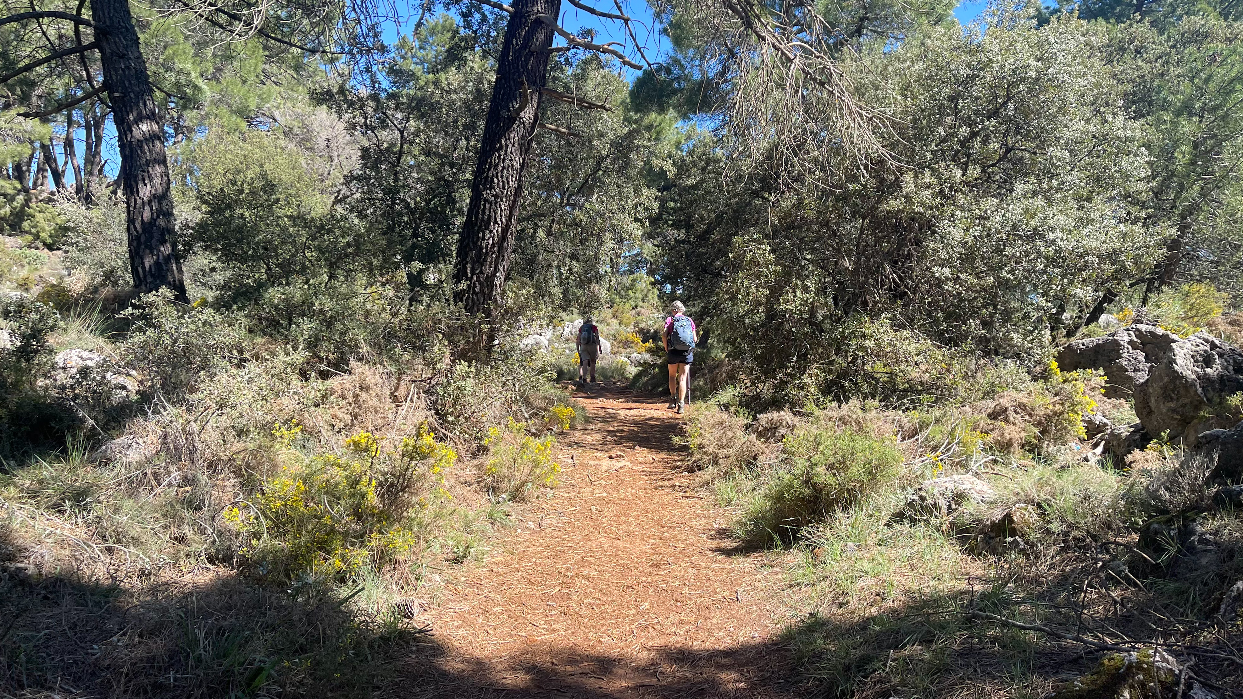 Vandring I Den Øde Sierra De Huétor