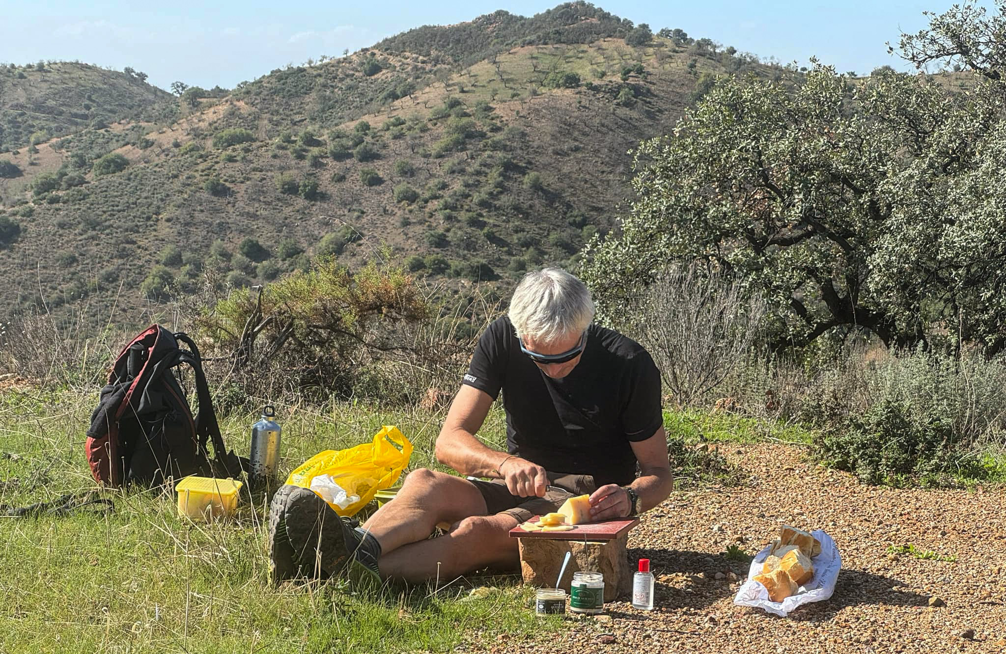 Picnic