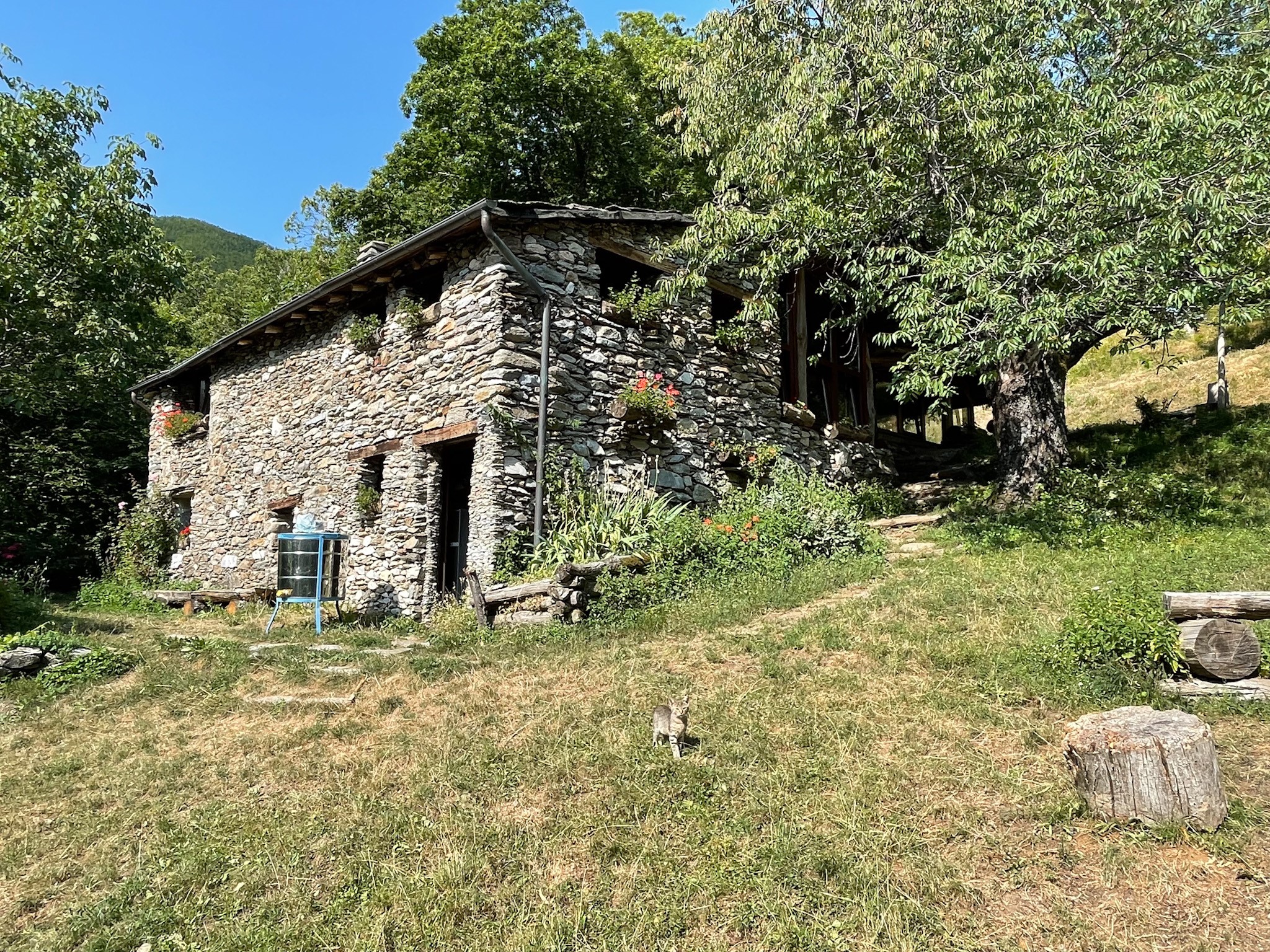 Il Robbio Hytte