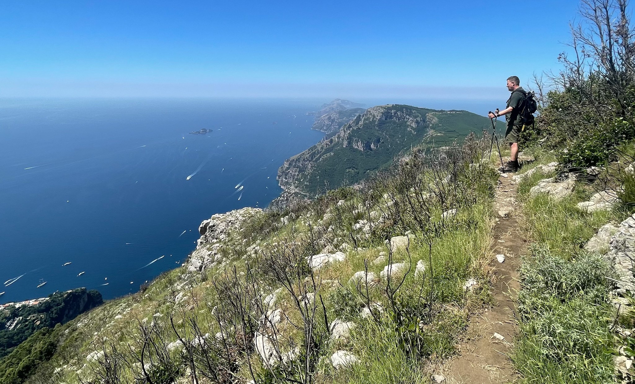 Panorama