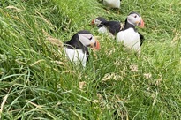 Image00003