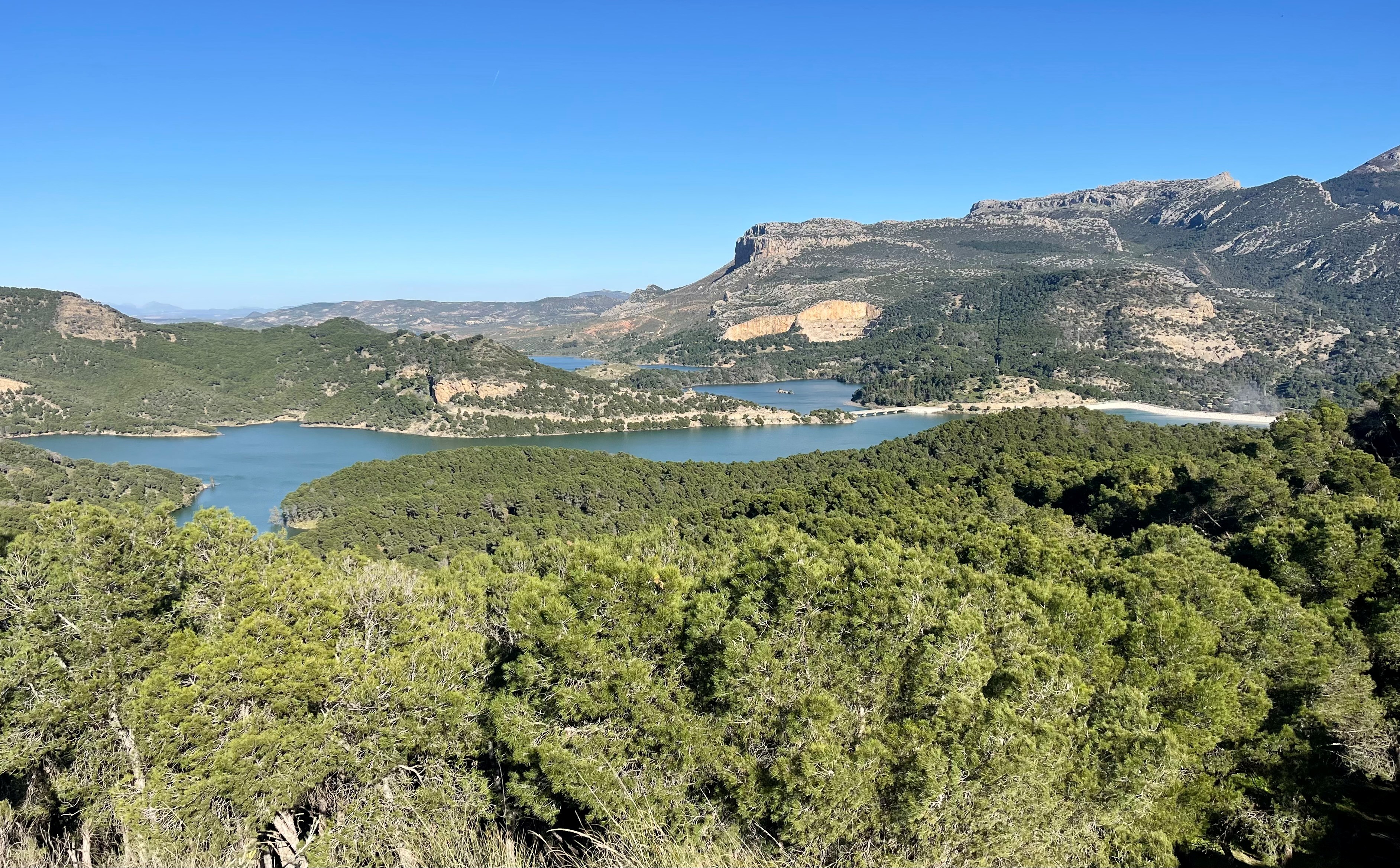 Oversete Naturperler Omkring Caminito Del Rey