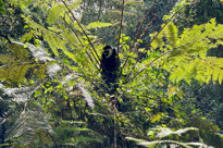 Image00008 (1)