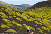 Etna, Monti Sartorius