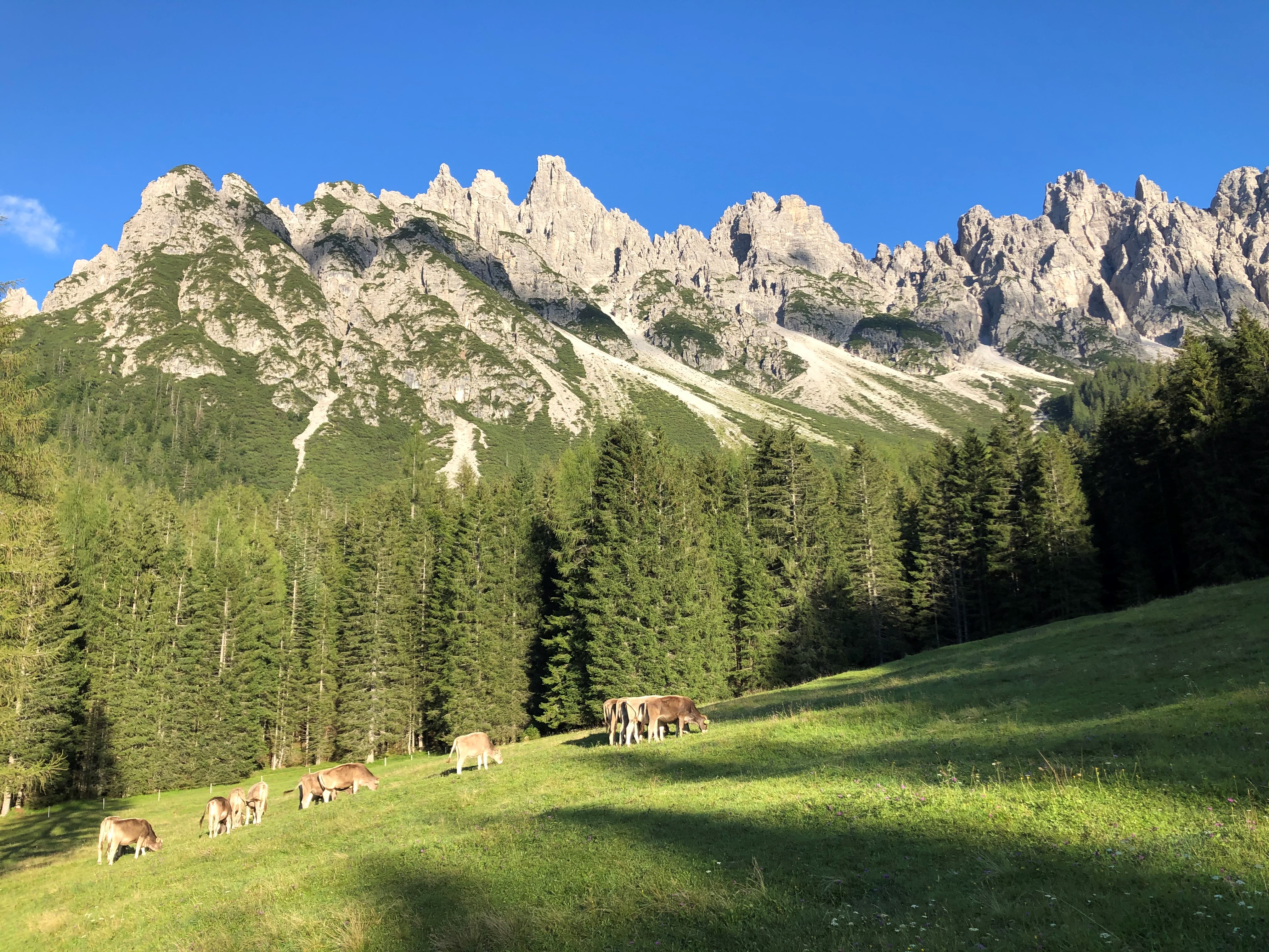 Dolomitterne Og Deres Klassiske Miljø