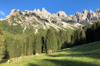 Dolomitterne Og Deres Klassiske Miljø