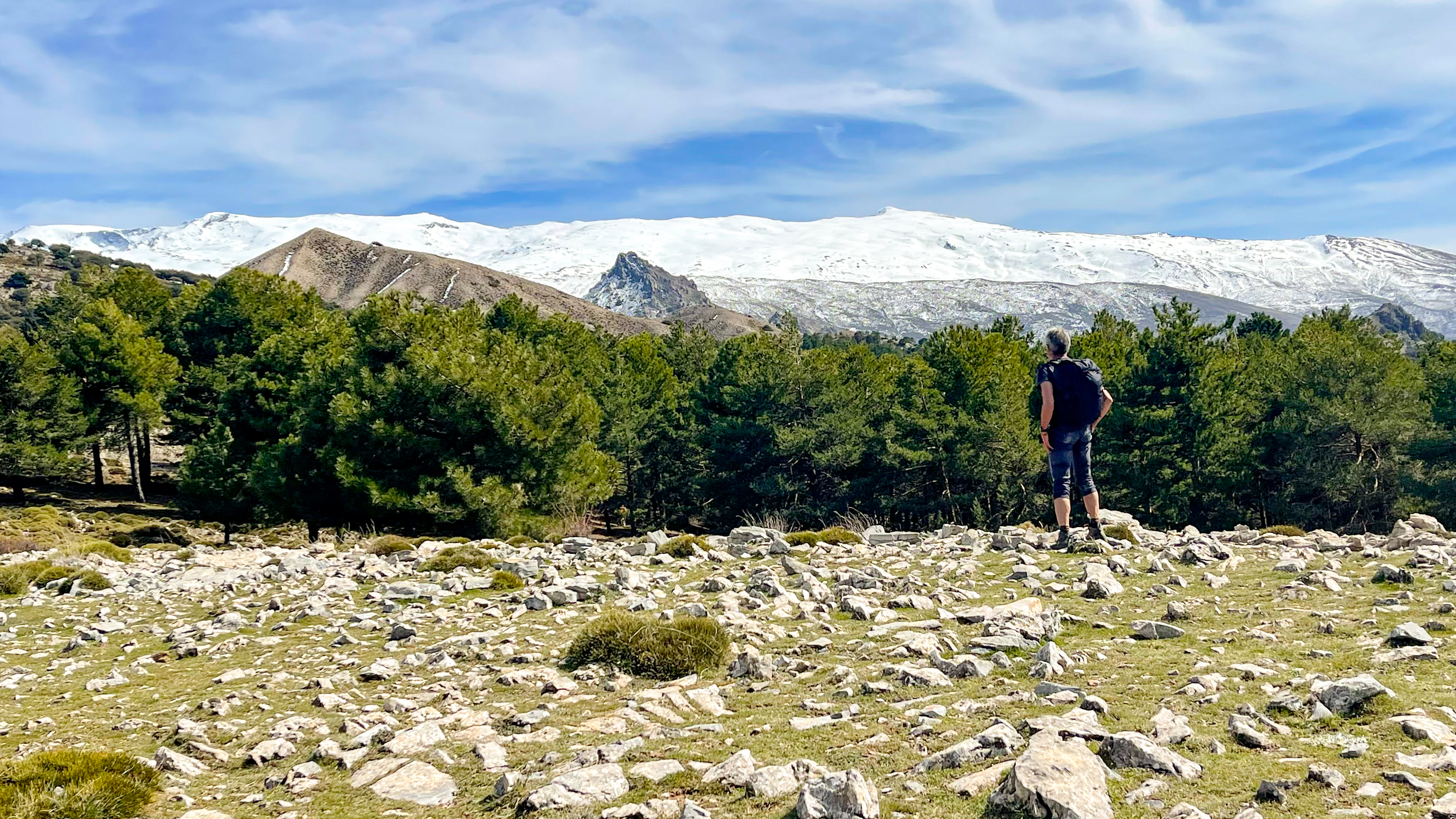 De Skønne Sætere I Parque National De Sierra Nevada