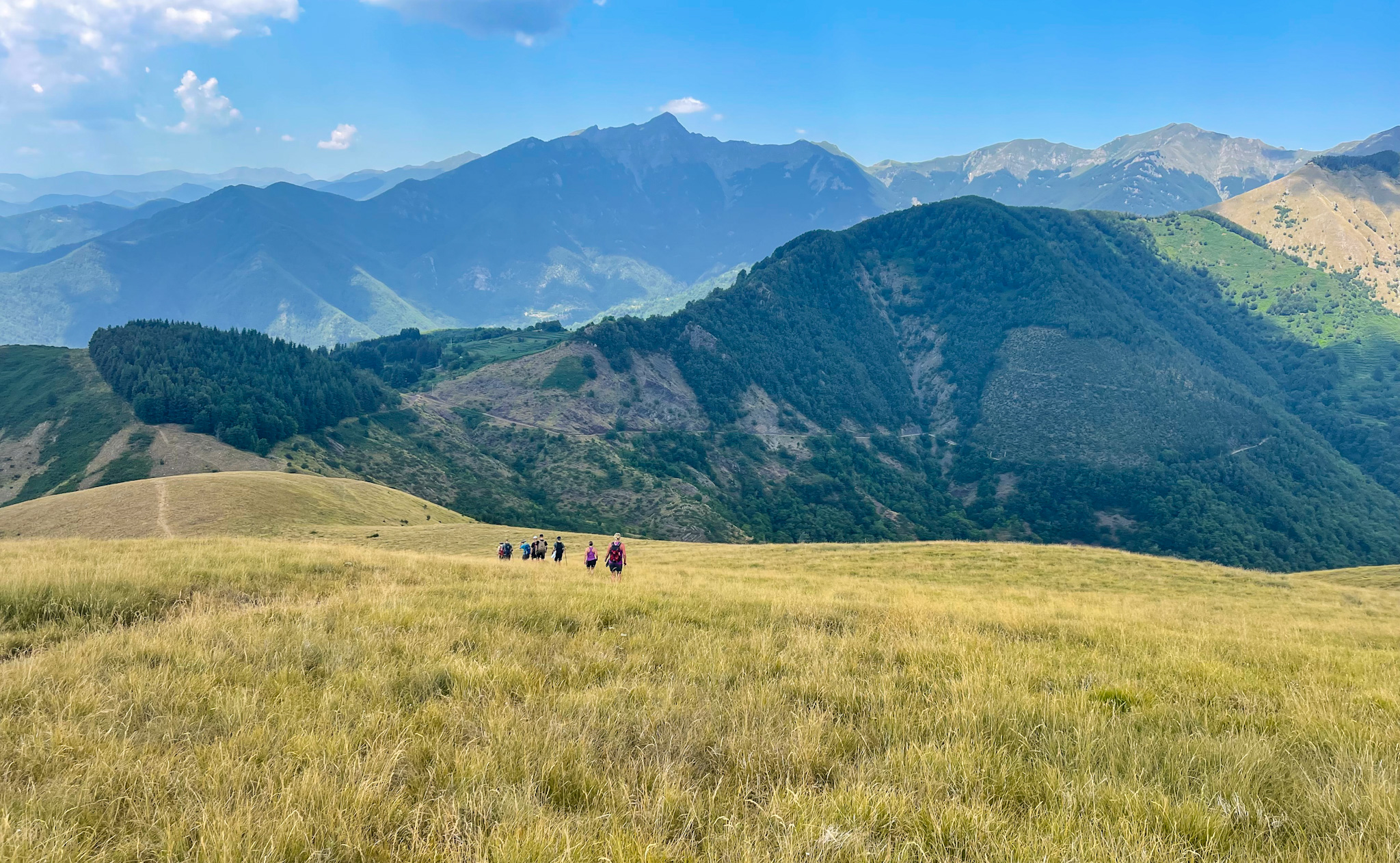 Mod Monte Coronato Fra Prato Fiorito