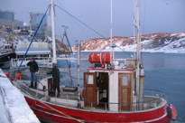Groenlandia 05 277