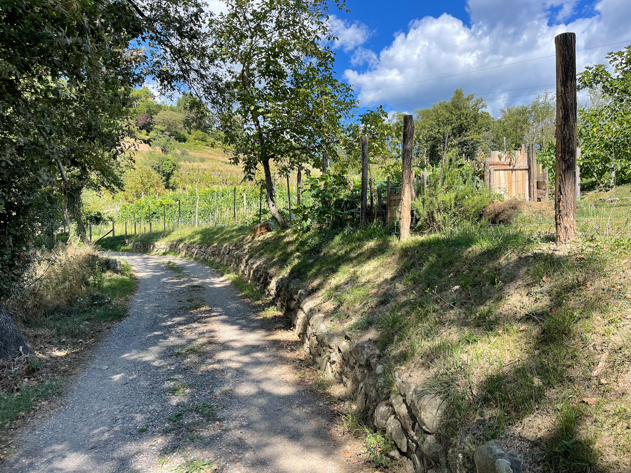 Via Matildica