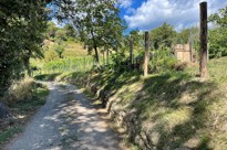 Via Matildica