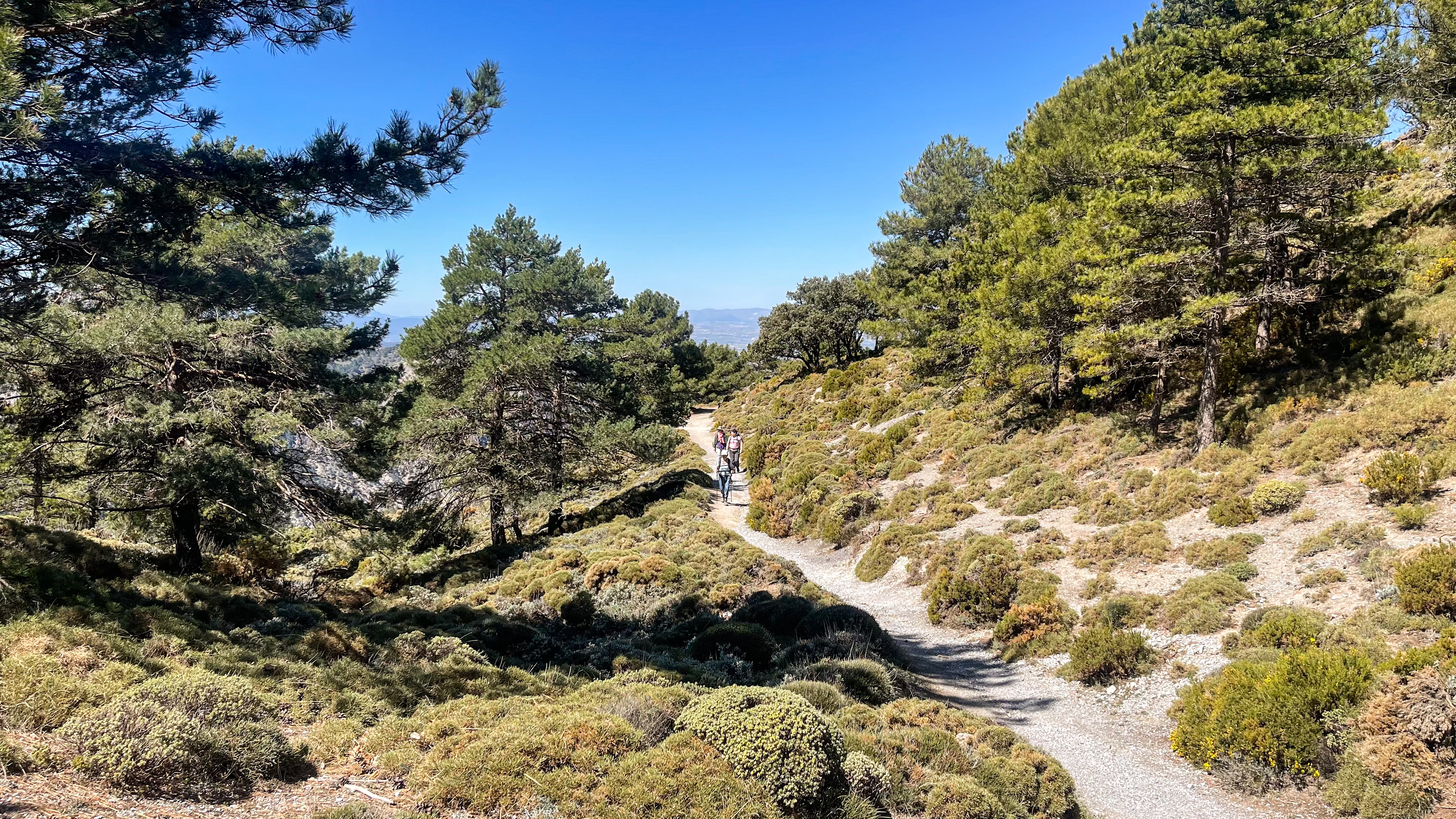 Den Flotte Natur I Sierra Nevada