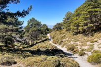 Den Flotte Natur I Sierra Nevada