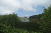 IMG 0903
