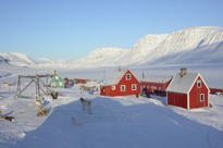 Grønlandsk Bygd Om Vinteren