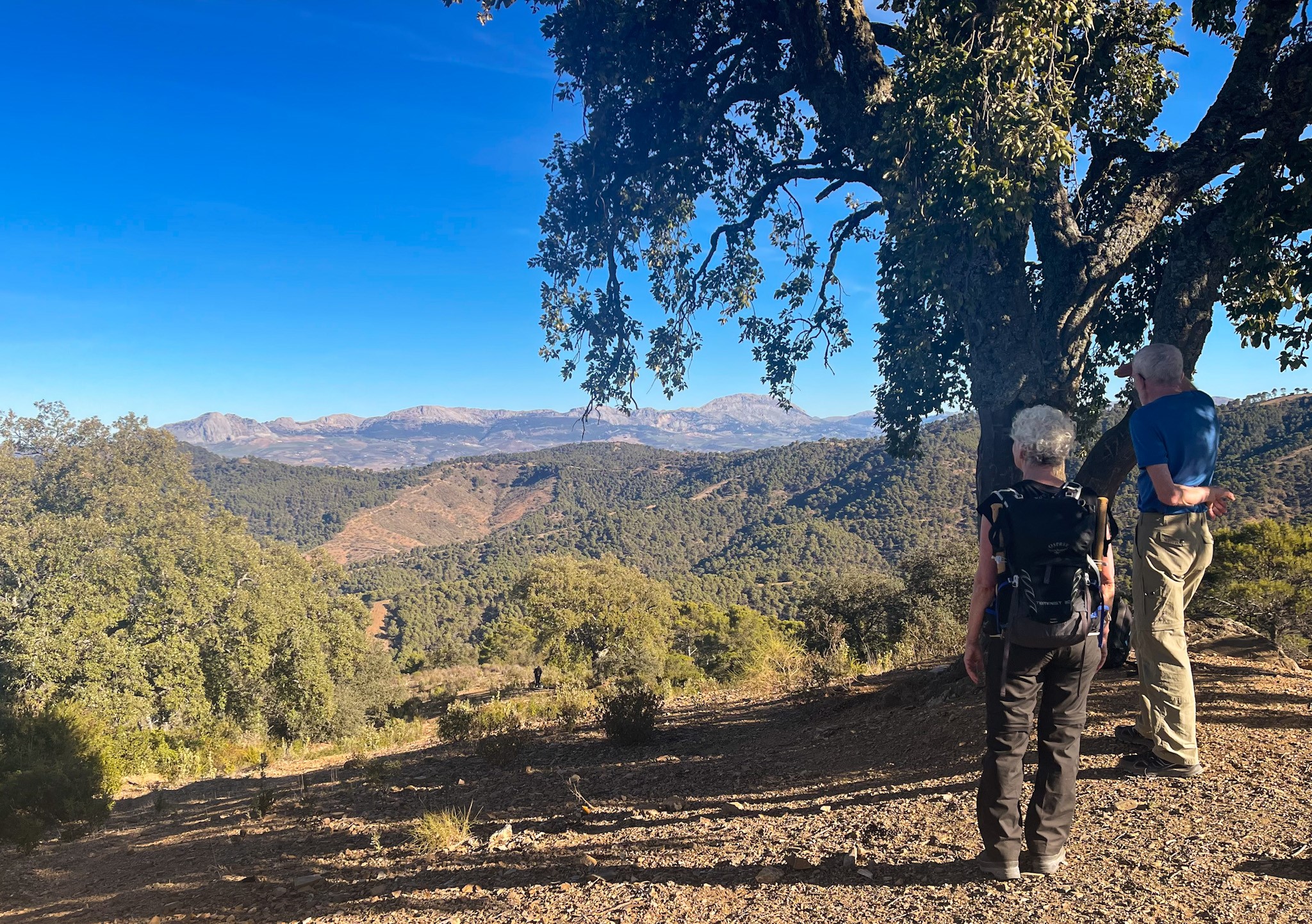 Parque Natural Montes De Málaga
