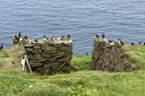 Image00004